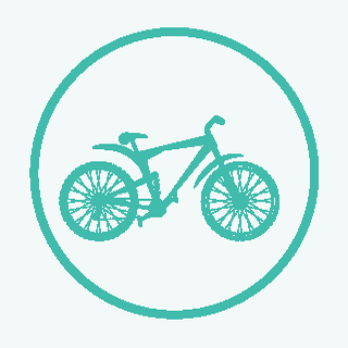 cat-icon