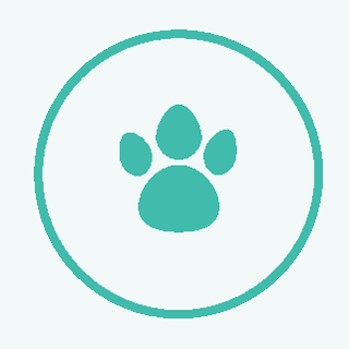 cat-icon